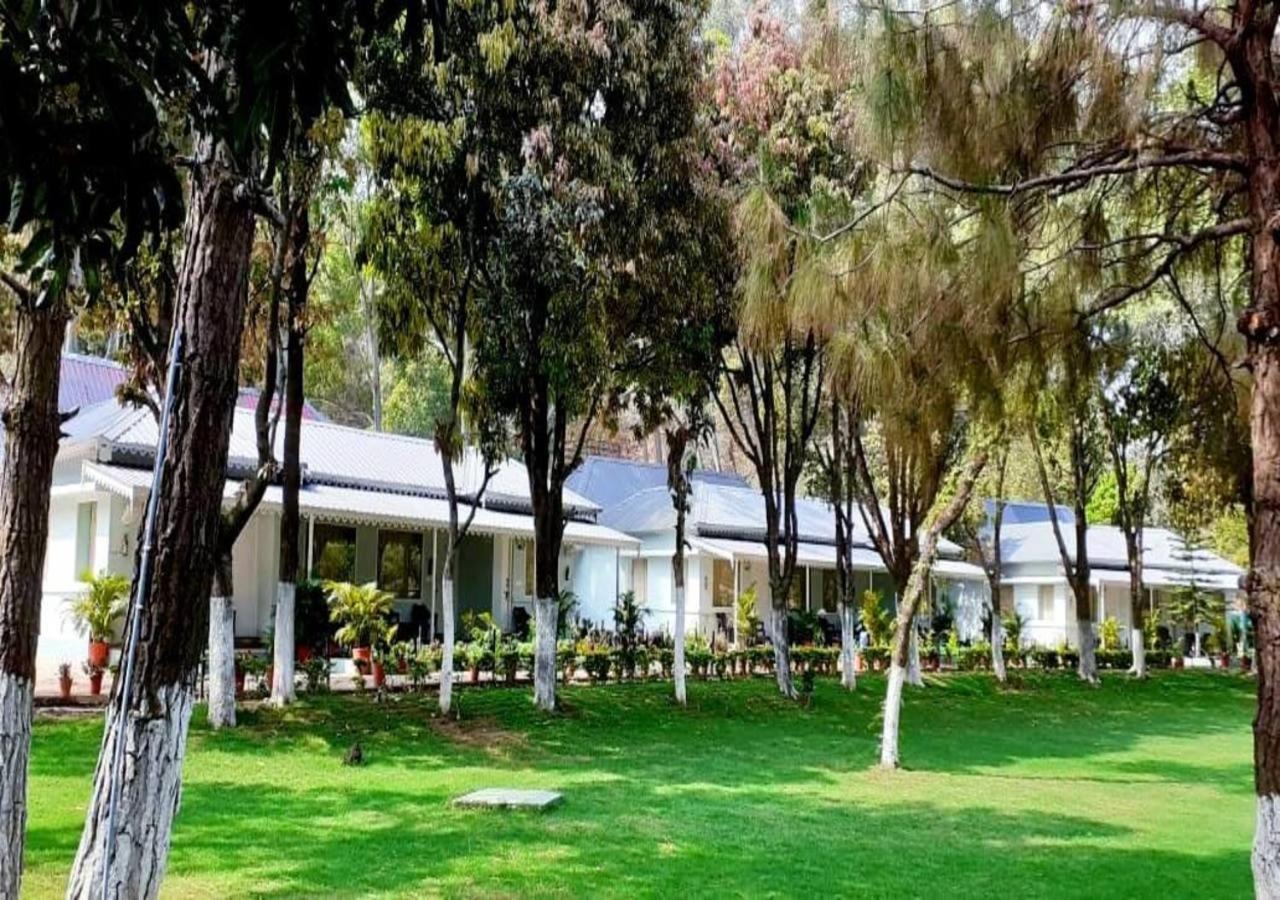 Greendale Resort Pachmarhī Esterno foto